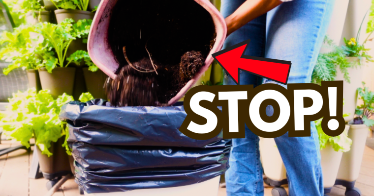 What to Do With Old Potting Soil (and How to Fix it in 5 Minutes)
